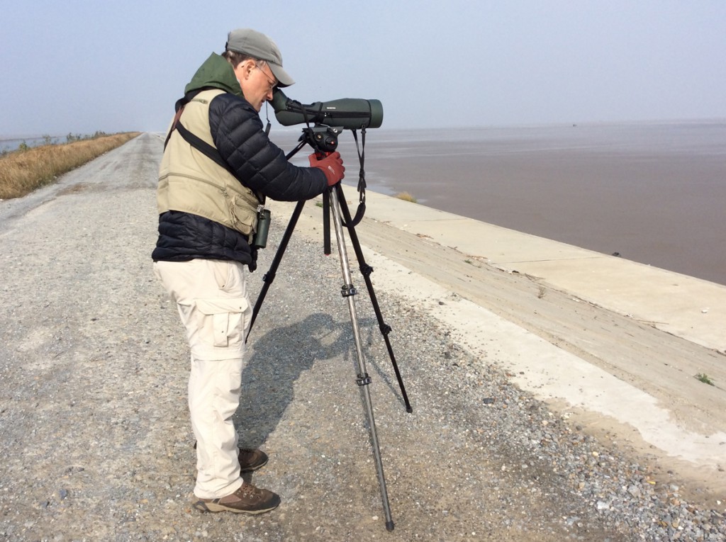 author examining birds