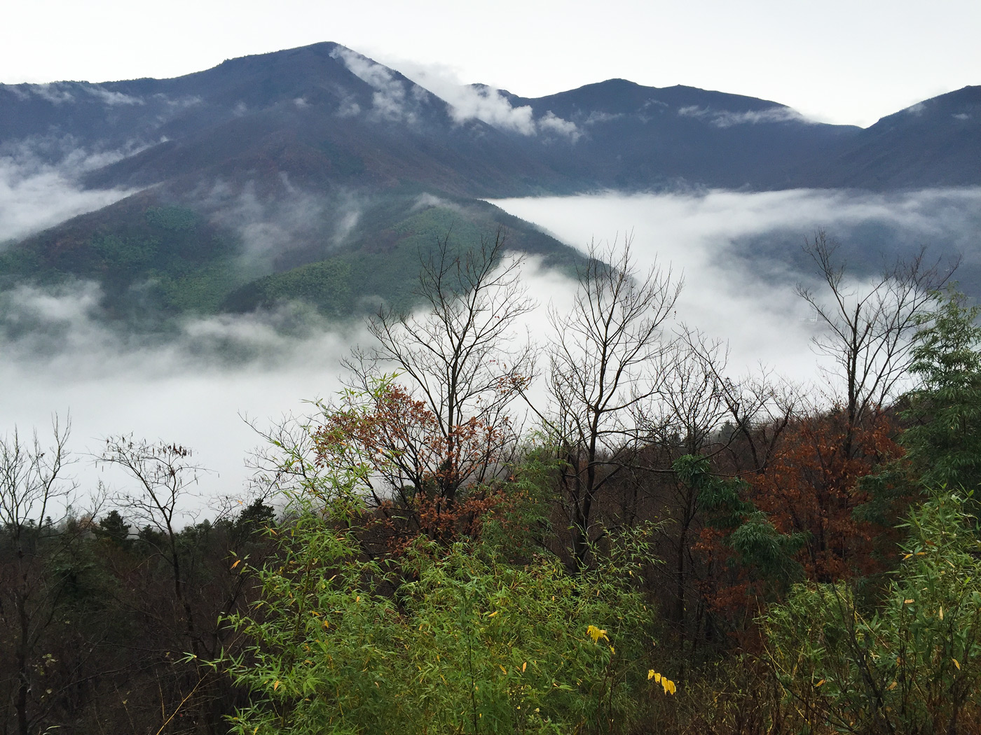 West Tianmu Mountain