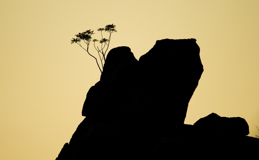 Sunset, Jianfengling, Hainan