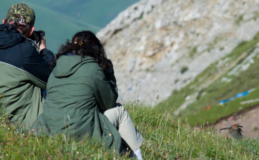 Qinghai, July–August 2013