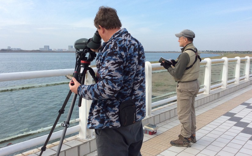 While Craig Brelsford consults Collins Bird Guide, Michael Grunwell uses Craig's Swarovski ATX-95 spotting scope to view Greater Scaup. Dishui Lake, Shanghai, 28 Nov. 2015. Photo by Elaine Du.