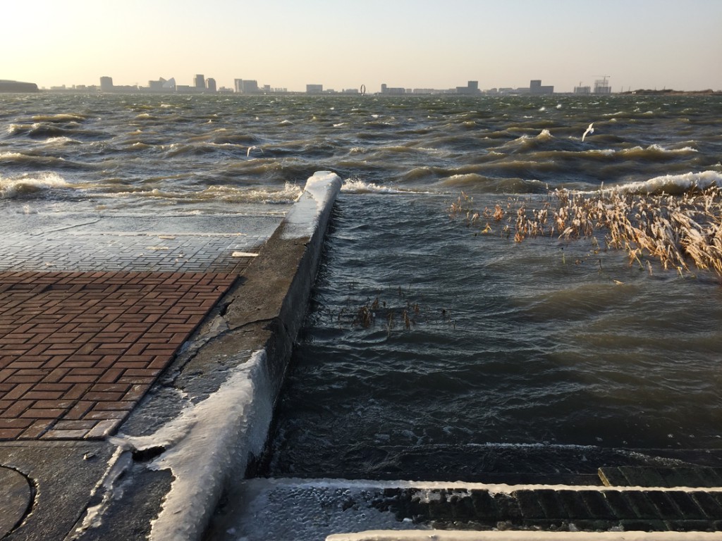 Blustery winds made for tough birding. Here, Dishui Lake looks like a surging Arctic sea. Note Black-headed Gull flying in background.