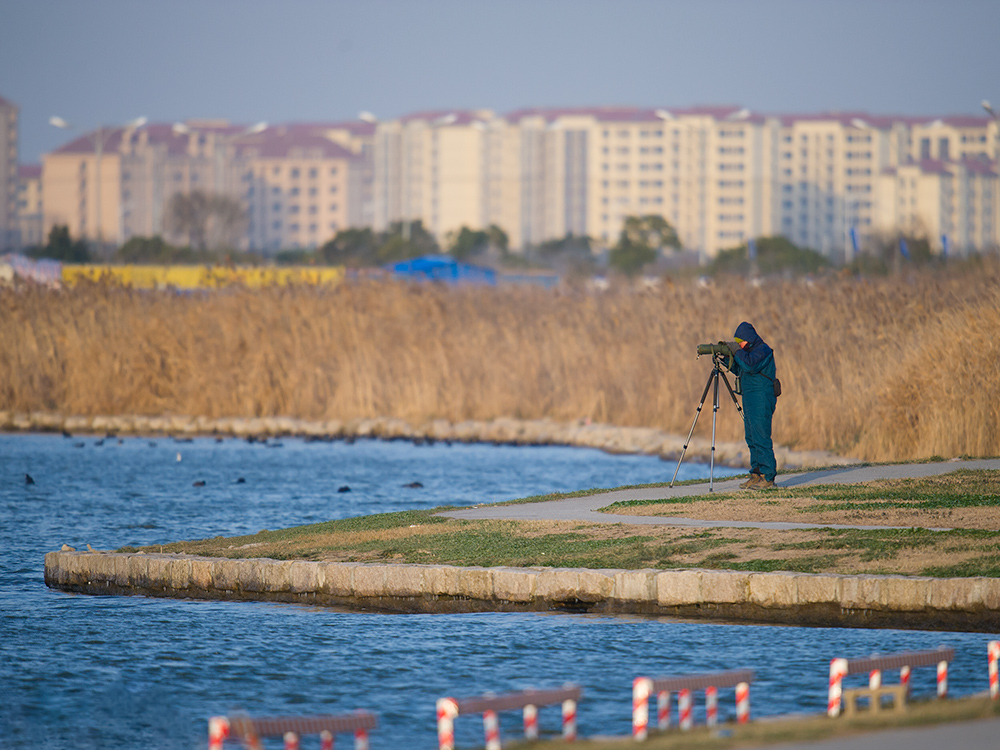 birder at Dishui Lake