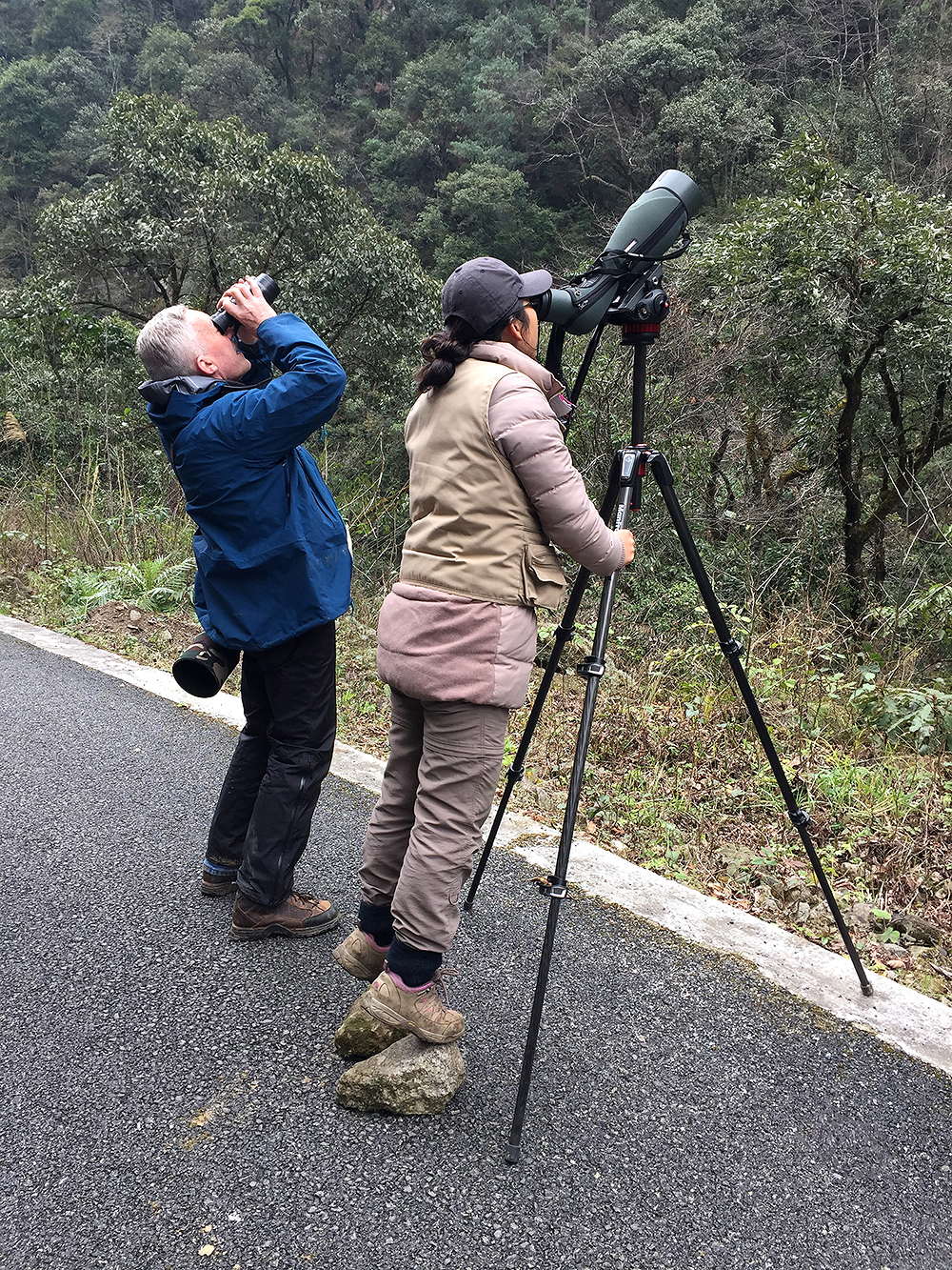 Brian Ivon Jones (L) and Elaine Du viewing Grandala for the first time, Dulong Gorge, 19 Feb. 2016.