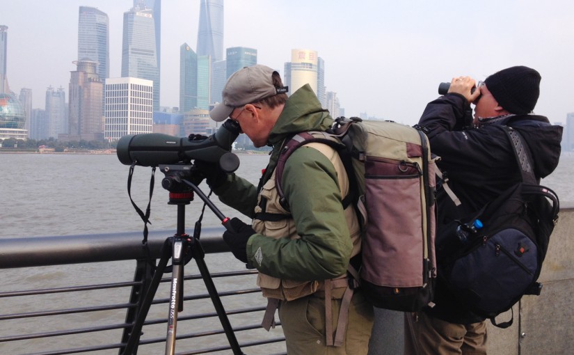 Shanghai Early Spring Subway Birding