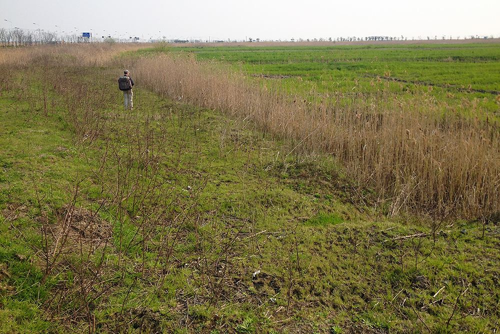 Brelsford at Nanhui