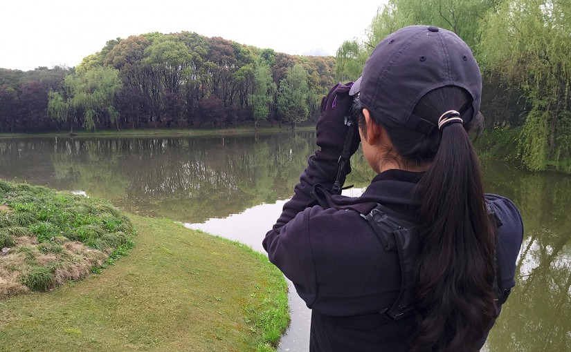 Shanghai Birding's Elaine Du searches for Great Spotted Woodpecker on Bird Island, across the water. The miniature nature reserve in Century Park remains out of reach of cats (and humans) and teems with birds. Photo taken 7 April 2016.