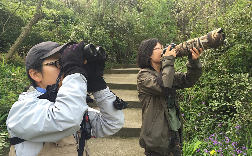 Elaine Du (L) and Xueping Popp scan for leaf warblers in Garbage Dump Valley on Lesser Yangshan Island, Zhejiang, China, Sun. 17 April 2016.