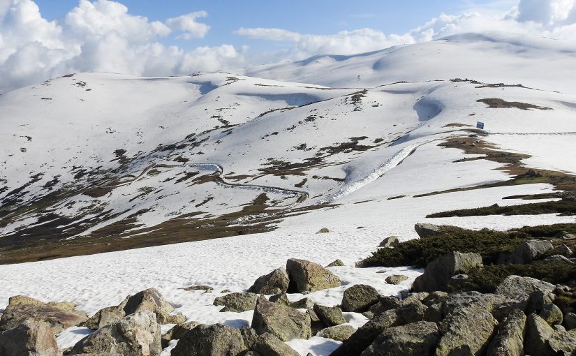 Pass in Altai Mountains, Altai District, Xinjiang. This is the place of which John MacKinnon wrote, "Eventually we emerged on top of the world with views way into the distance across the Mongolian border." On 5 June 2016, the pioneering naturalist and author made a brief visit to this remote high country, finding amazing natural riches in the space of only four hours. Photo © 2016 by John MacKinnon for shanghaibirding.com.