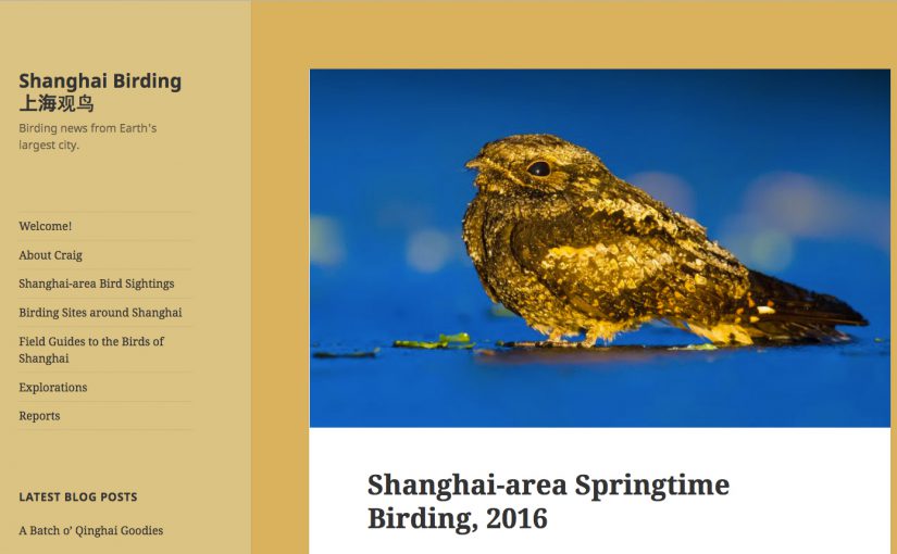 Screenshot of our newly published report, "Shanghai-area Springtime Birding, 2016," now available in the Reports section of shanghaibirding.com.