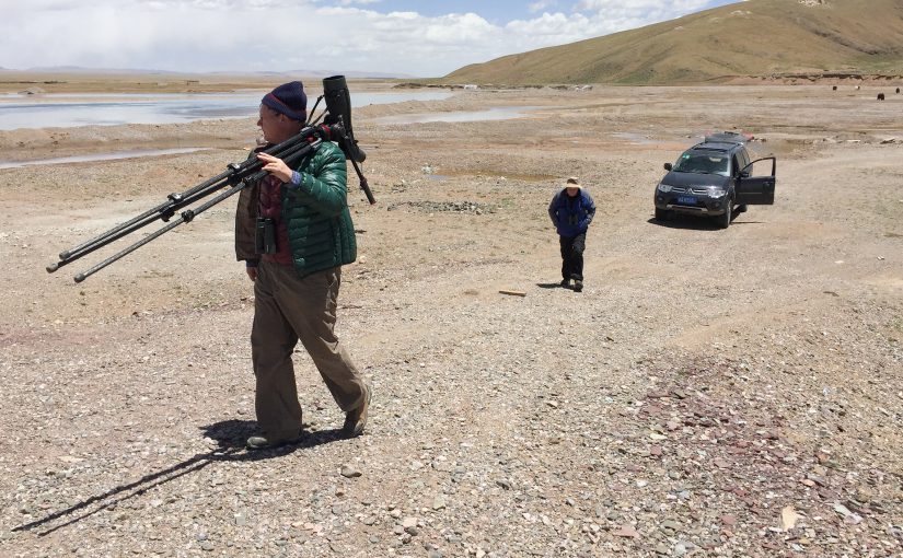 Birding Eastern Qinghai, from the Border with Gansu to the Border with Tibet