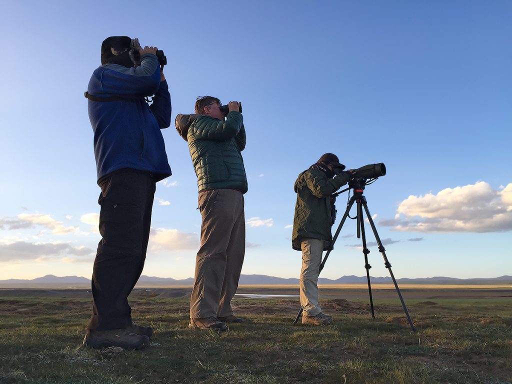 birders