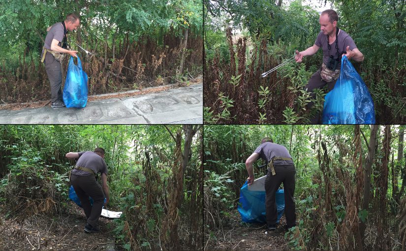 Kai Pflug picks up litter at Microforest 1, Nanhui, Shanghai, 11 Sept. 2016. Photos by Craig Brelsford.