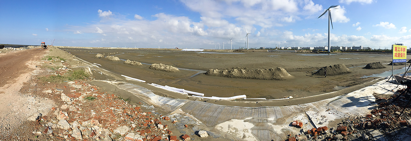 shorebird roost