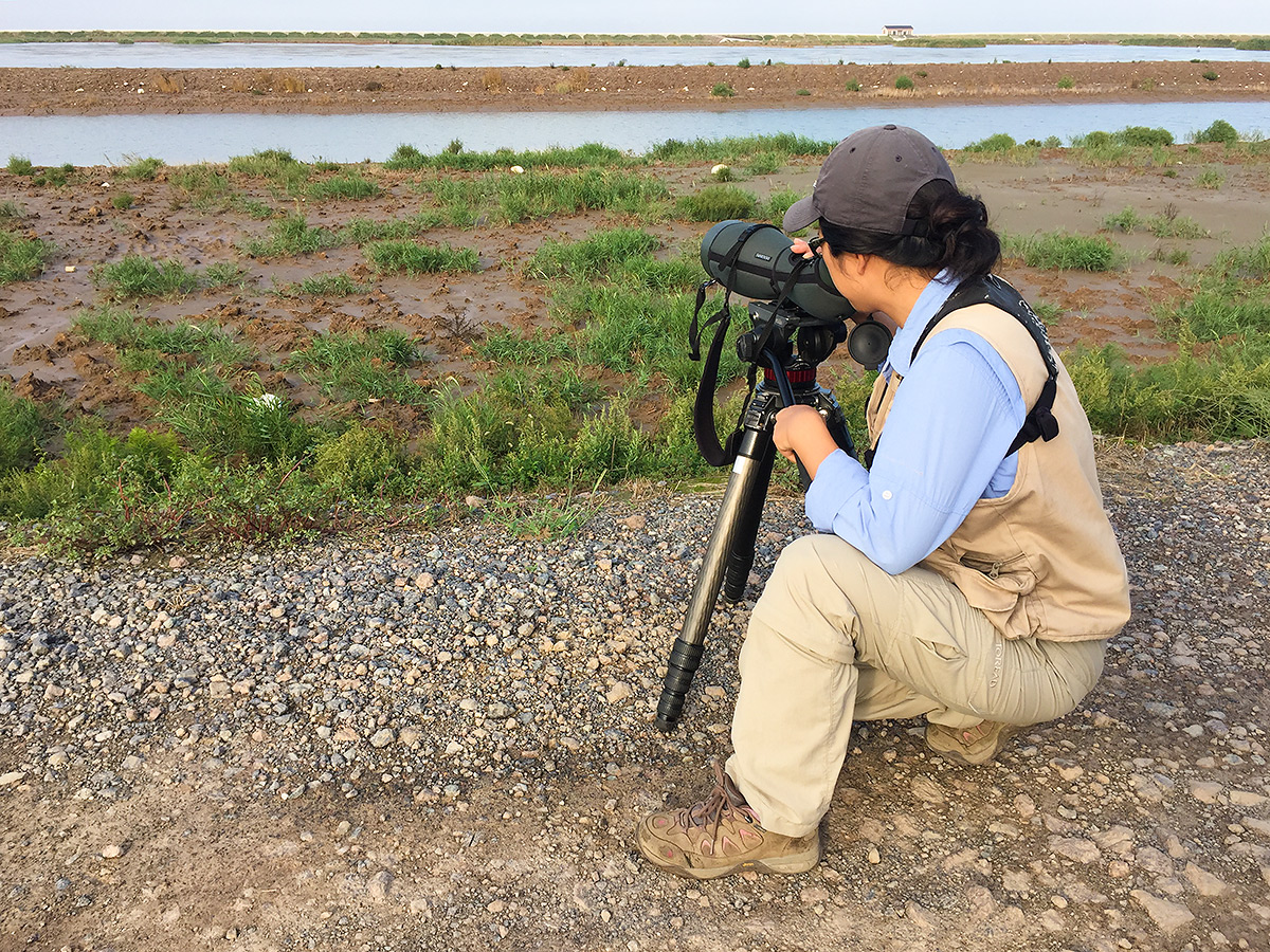Elaine Du surveys a pond inside the sea wall on eastern Chongming Island, 1 Oct. 2016.