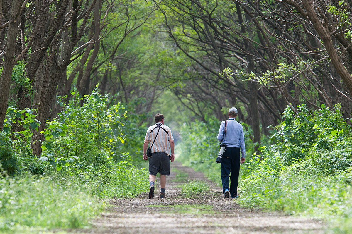 Michael Grunwell (L) and Jan-Erik Nilsén seek new ticks in the Magic Forest, Yangkou, 3 Oct. 2016.