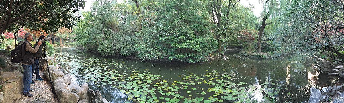 Panorama of Little Central Pond