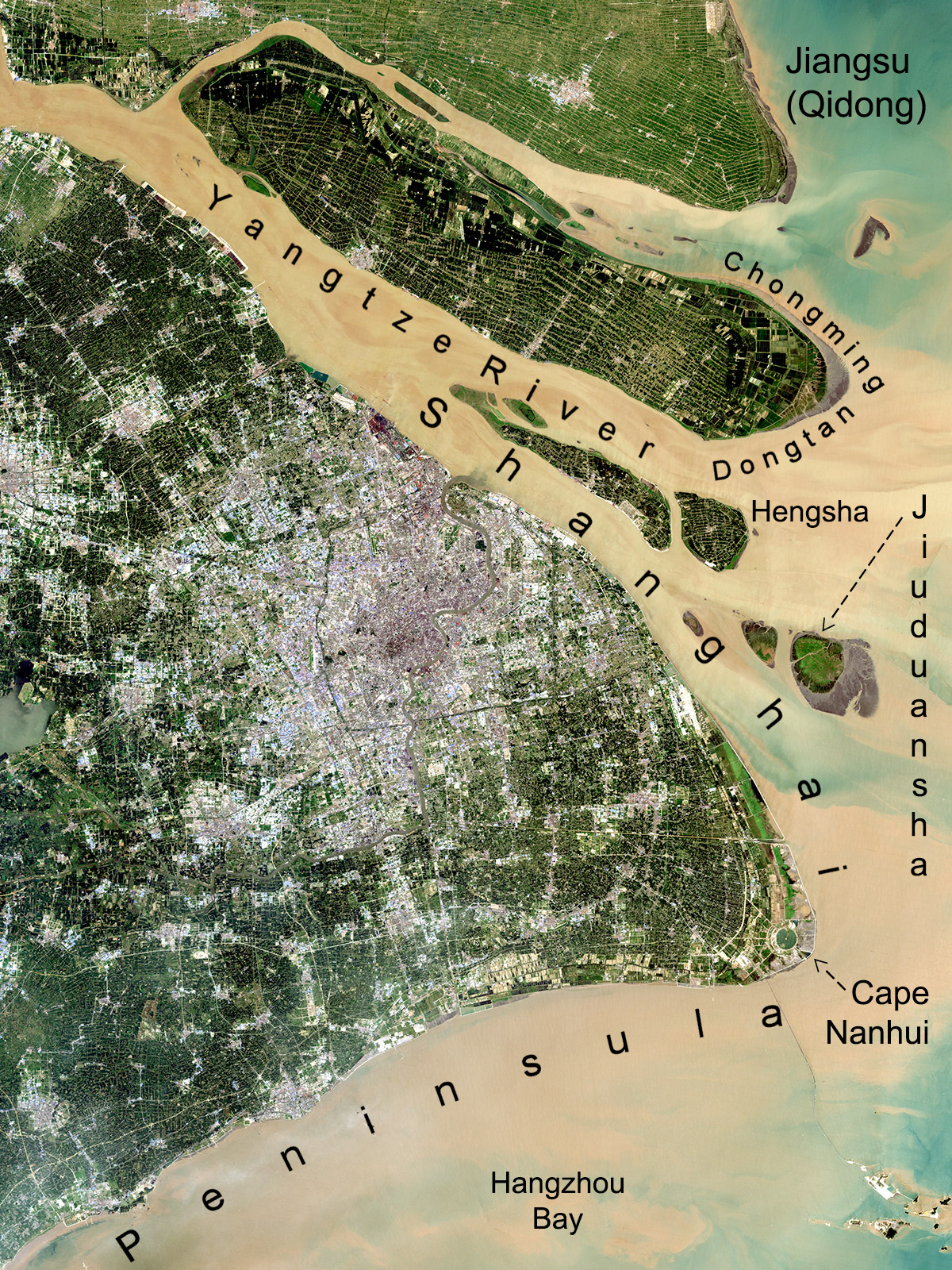 satellite view of Shanghai