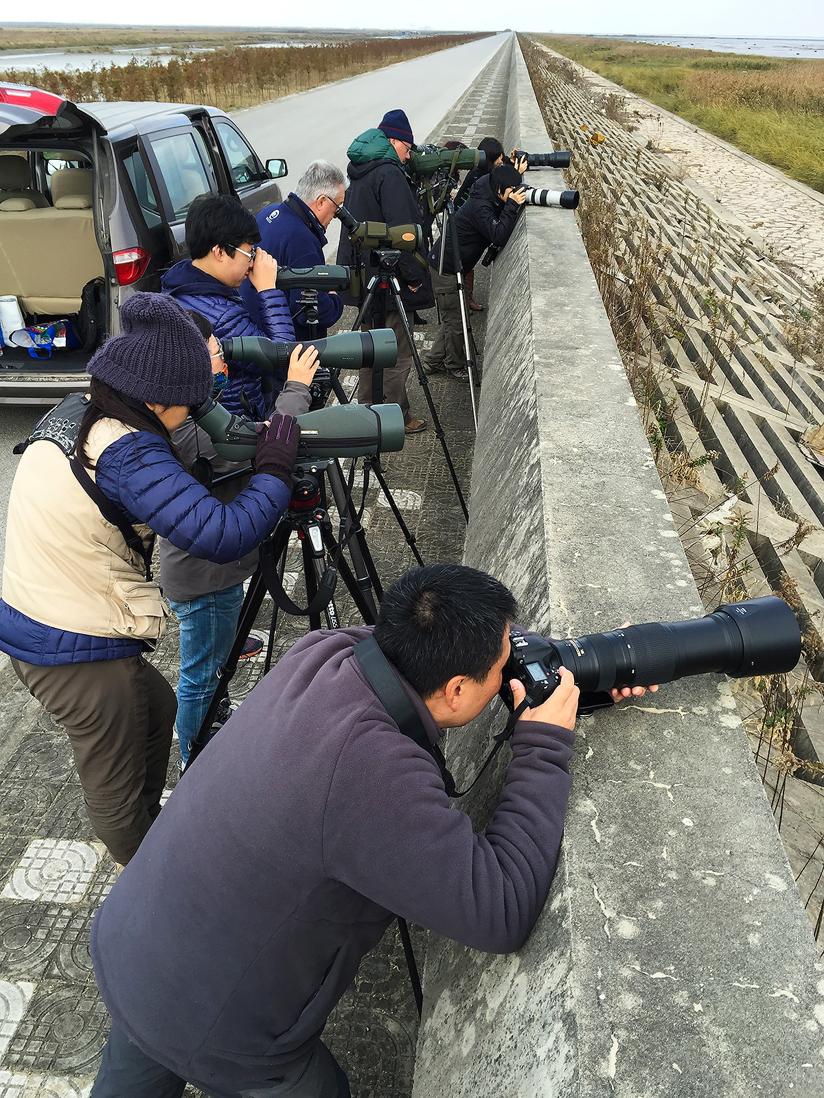 Shanghai birders viewing Baikal Teal. 10 Dec. 2016. Craig Brelsford.