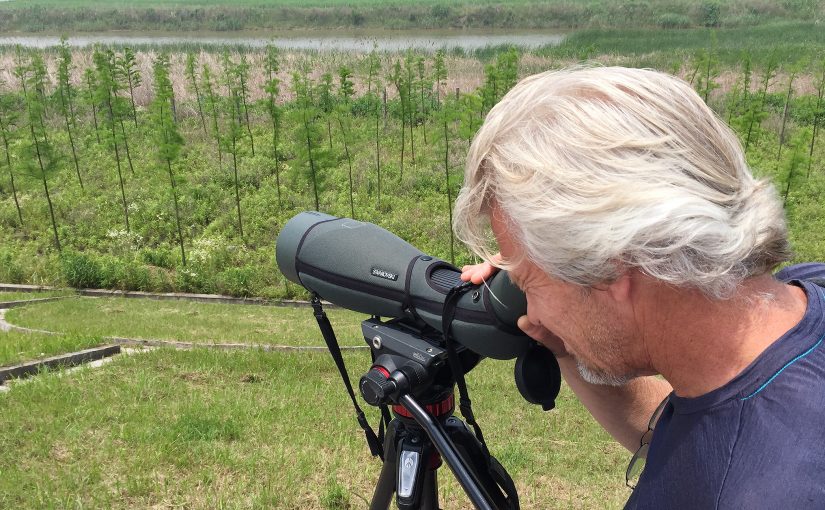 British birder Mike May uses Craig Brelsford's spotting scope to scan for birds at Cape Nanhui, Shanghai, 13 May 2017. Craig Brelsford.