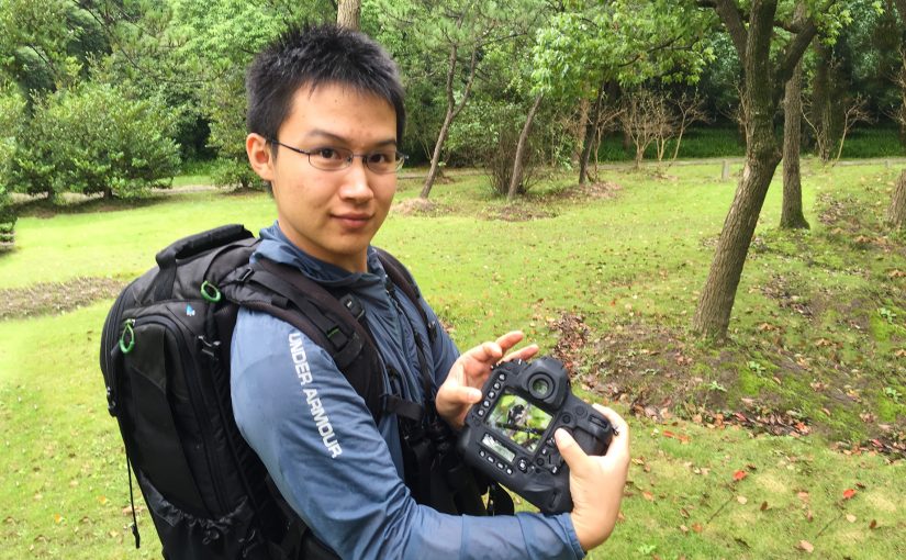 Sakhalin Leaf Warbler at Shanghai’s Century Park