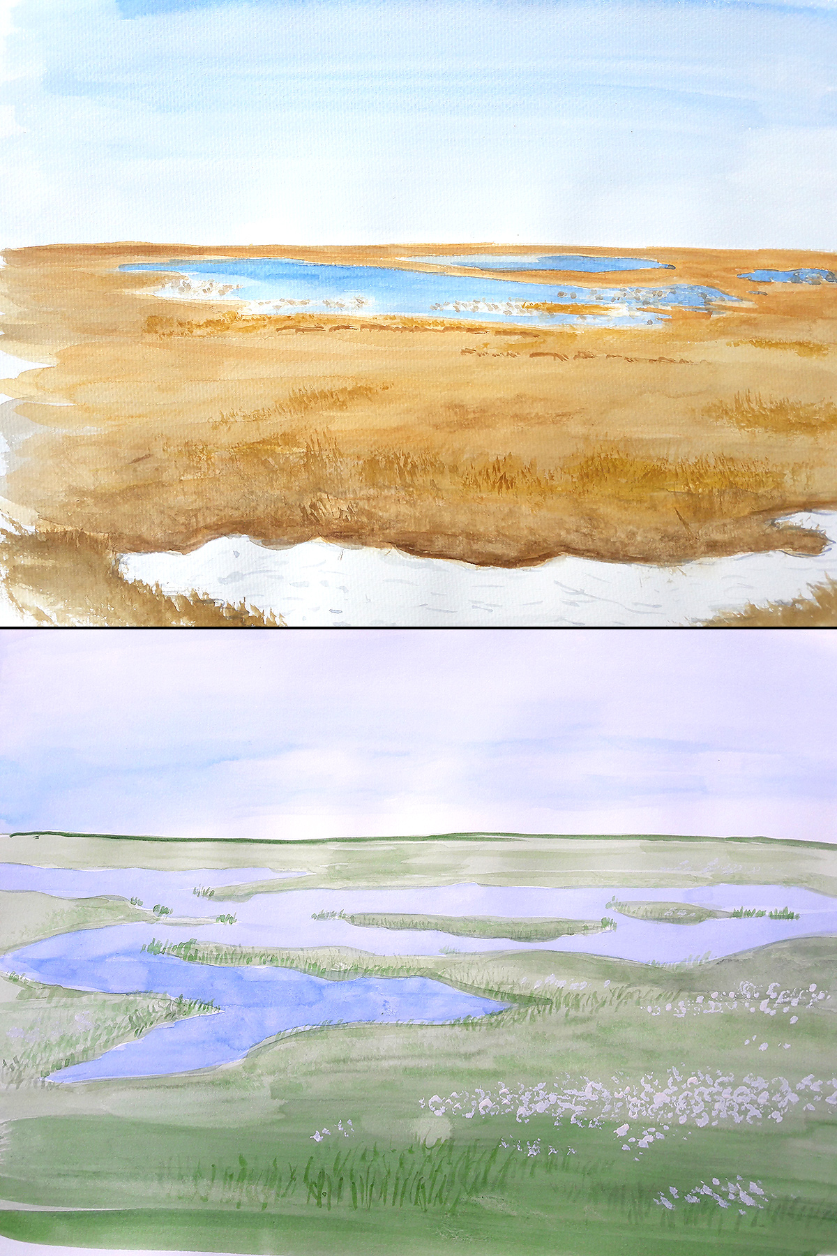 Tundra after snowmelt (June) and at height of summer (August). (Louis-Jean Germain)