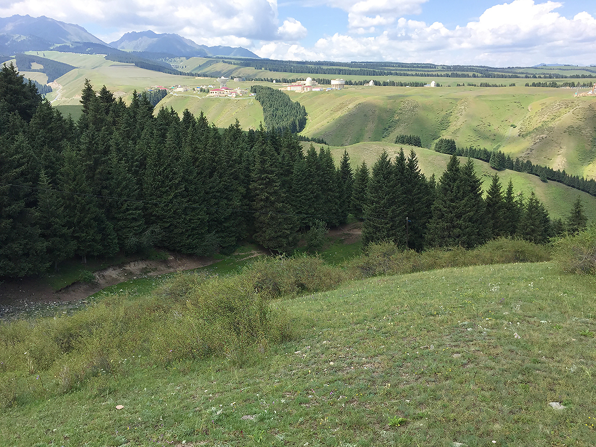 Habitat in which we found Eversmann's Redstart