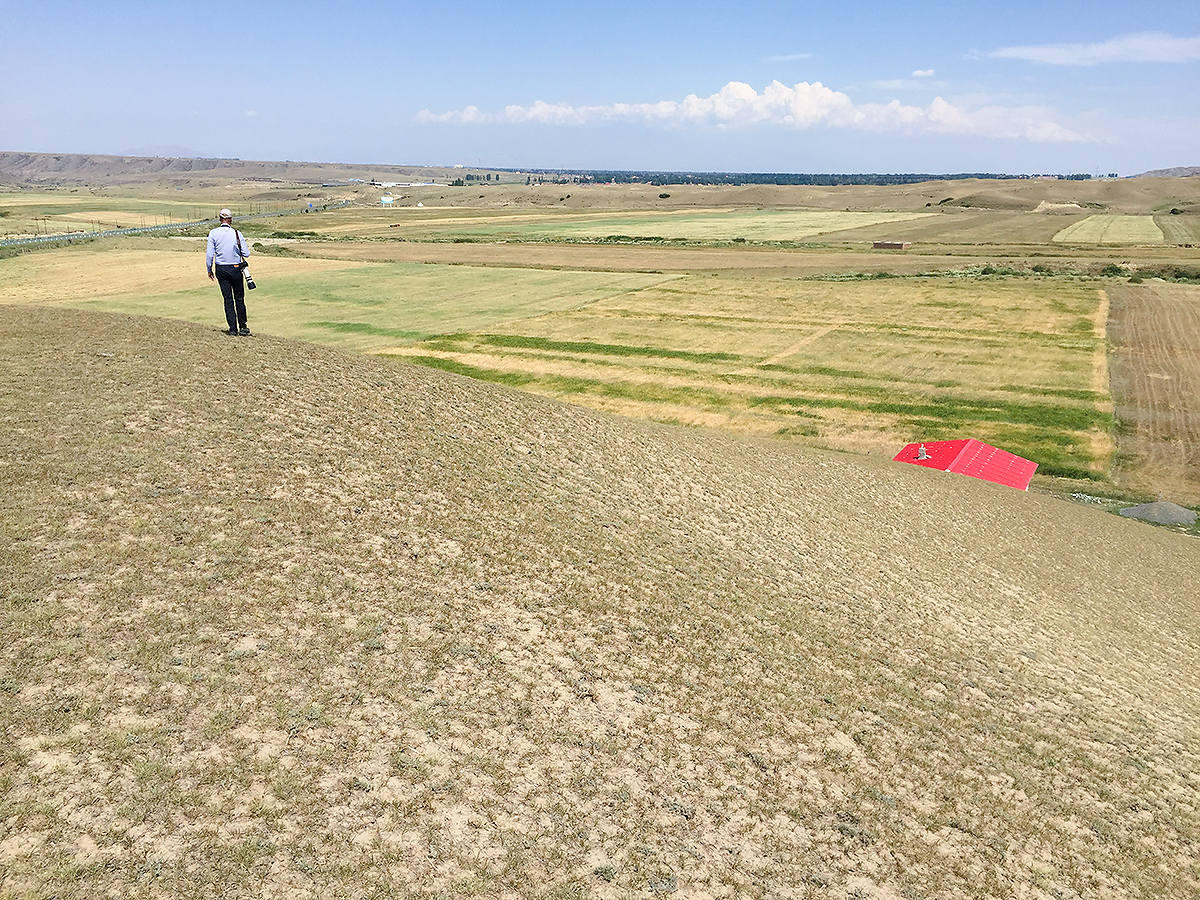 Loess habitat