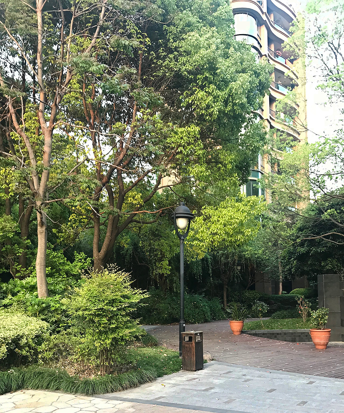 Urban wood providing habitat for migrating Asian Stubtail, Shanghai, April 2019. (Komatsu Yasuhiko)