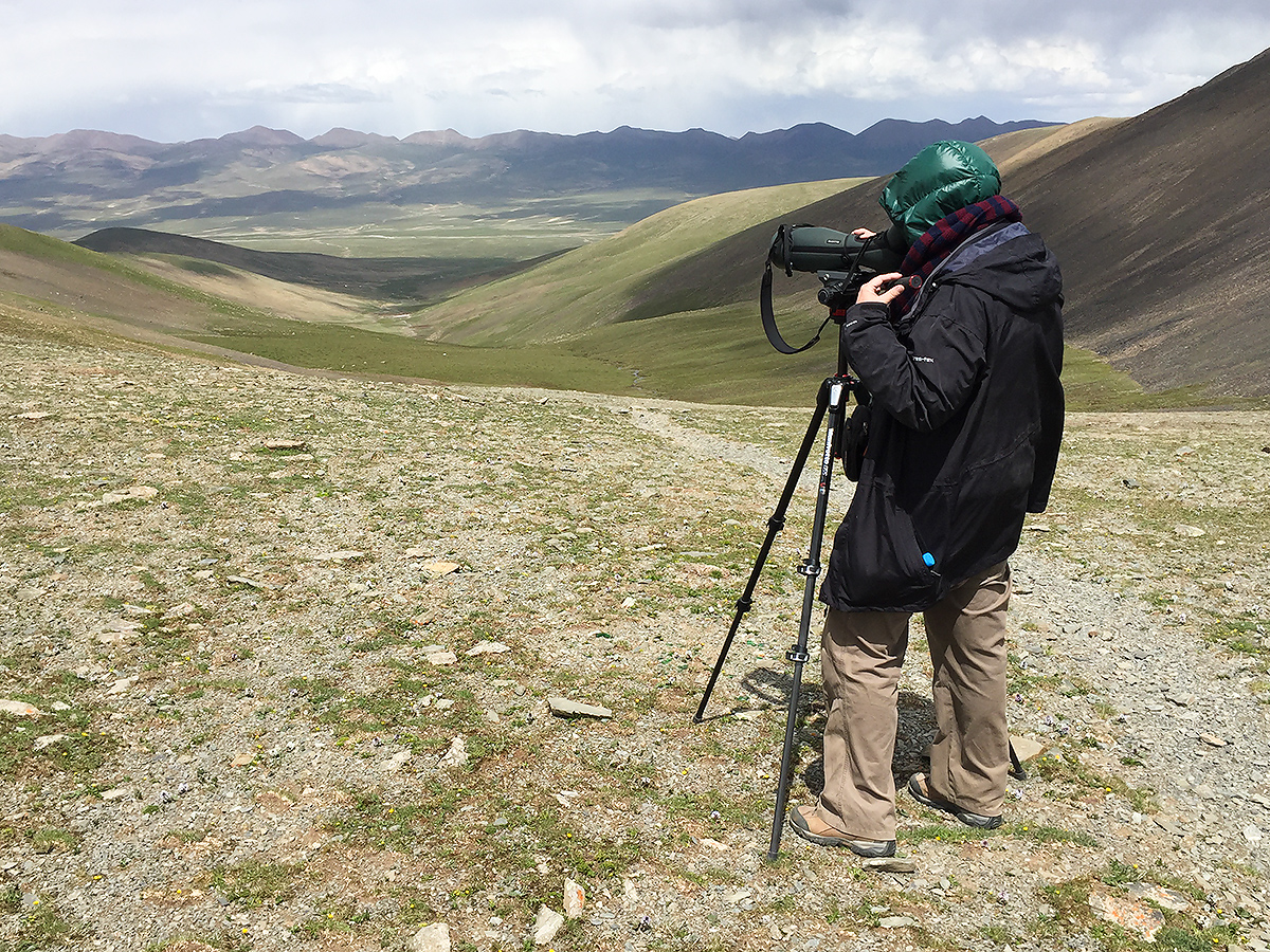 Grunwell, Ela Pass, Qinghai