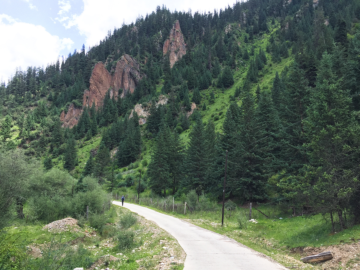 road near school