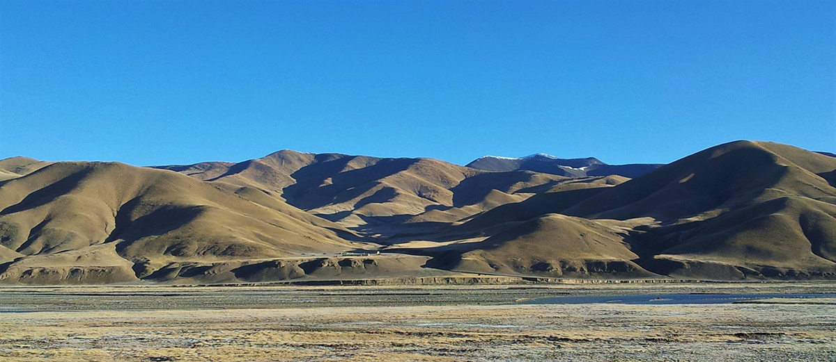 hornskov-qinghai