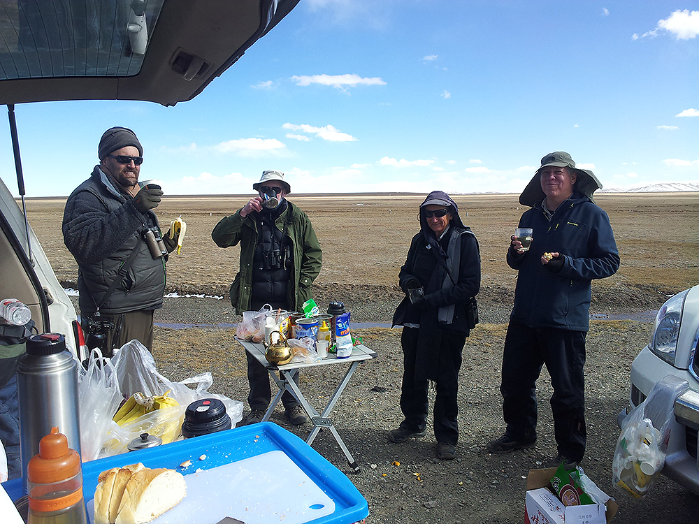 birders in qinghai