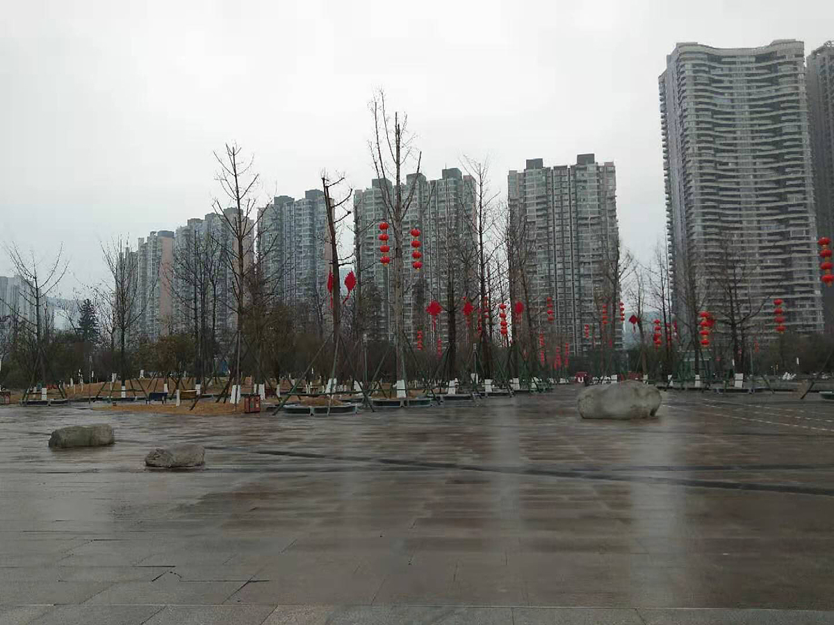 Chengdu apartments