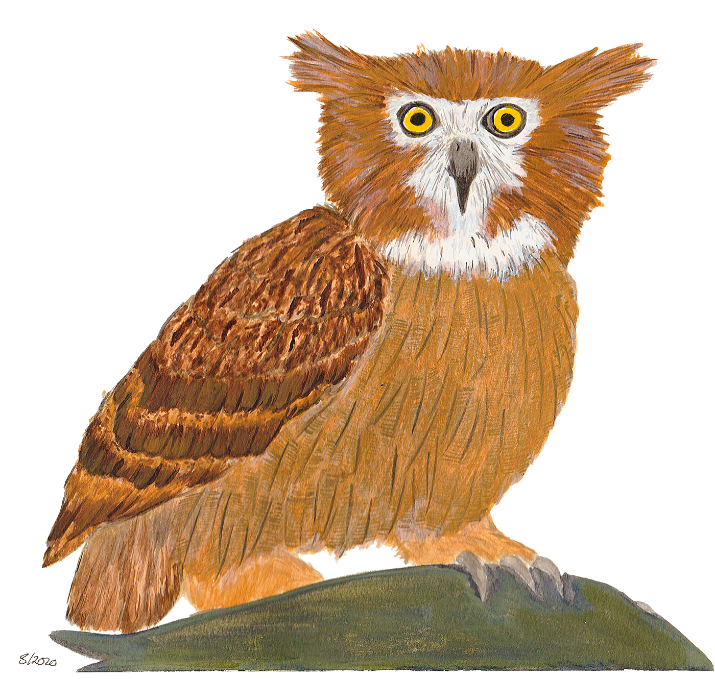 Blakiston's Fish Owl