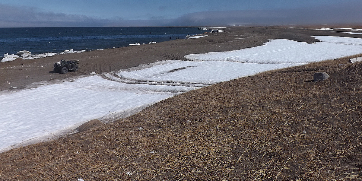 Gambell beach