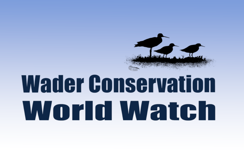 Participate in Wader Conservation World Watch This Weekend