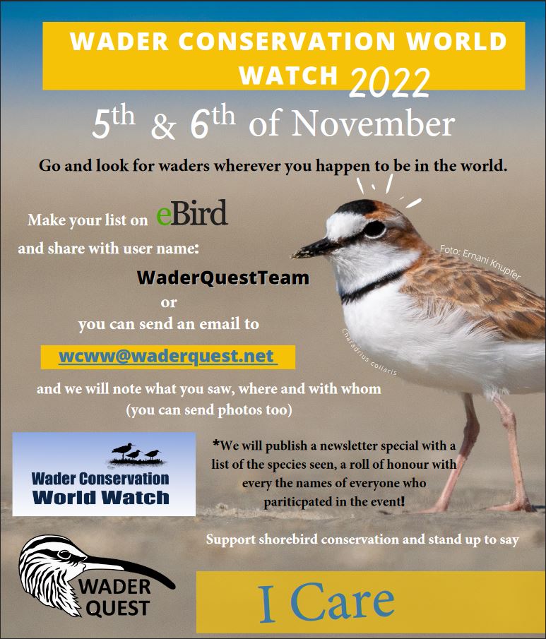 Wader Quest World Watch