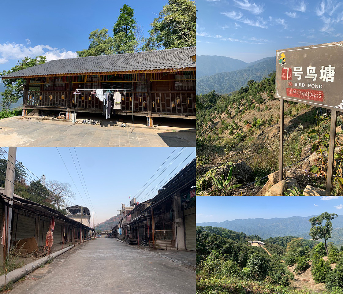 scenes from western Yunnan