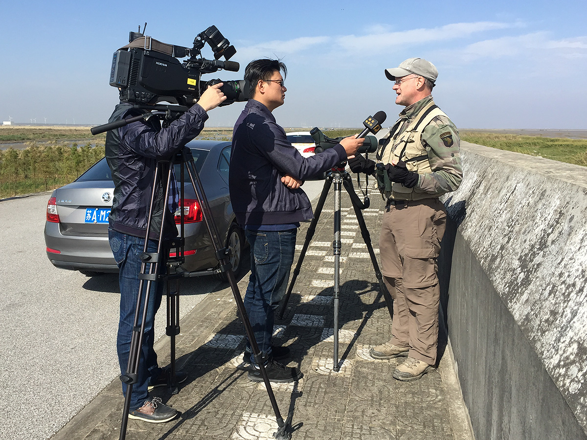 Craig talks to Pudong TV about the opportunities for conservation at Nanhui. Photo by Elaine Du.