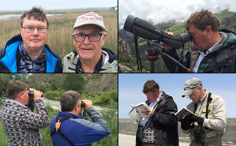 Clockwise from top L, the author of this post (L) with John MacKinnon at Cape Nanhui, Shanghai, 8 April 2017 (Craig Brelsford); using the spotting scope at Ga’er Monastery, Qinghai, 8 July 2016 (Craig Brelsford); with Craig Brelsford (R) at Nanhui, 4 April 2016 (Elaine Du); with old friend Mark Waters (R) in Huzhu County, Qinghai, 27 June 2016 (Craig Brelsford).